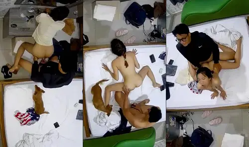 Phim  Sex Em nữ sinh mang theo cả chó đi học nhóm với bạn trong nhà nghỉ