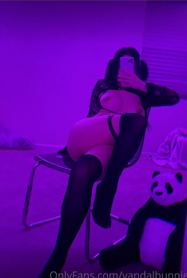vandalbunnie
