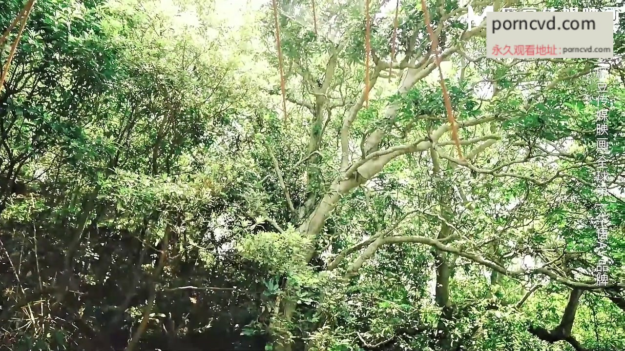 台灣自拍：麻豆傳媒父親節野外4P中出母女淫亂