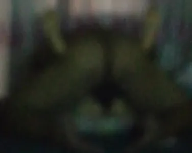 臺灣自拍 twzp：關燈和老婆做愛，聲音聽起來超誘人