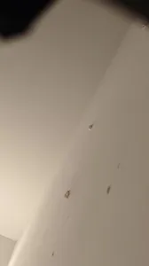 出軌少婦激情性交影片流出