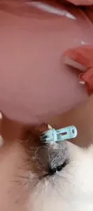 SM調教小母狗虐戀影片合集