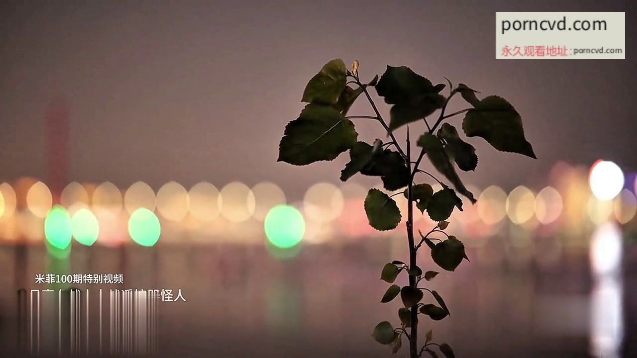 國產氣質禦姐米菲兔豪宅自拍無套內射