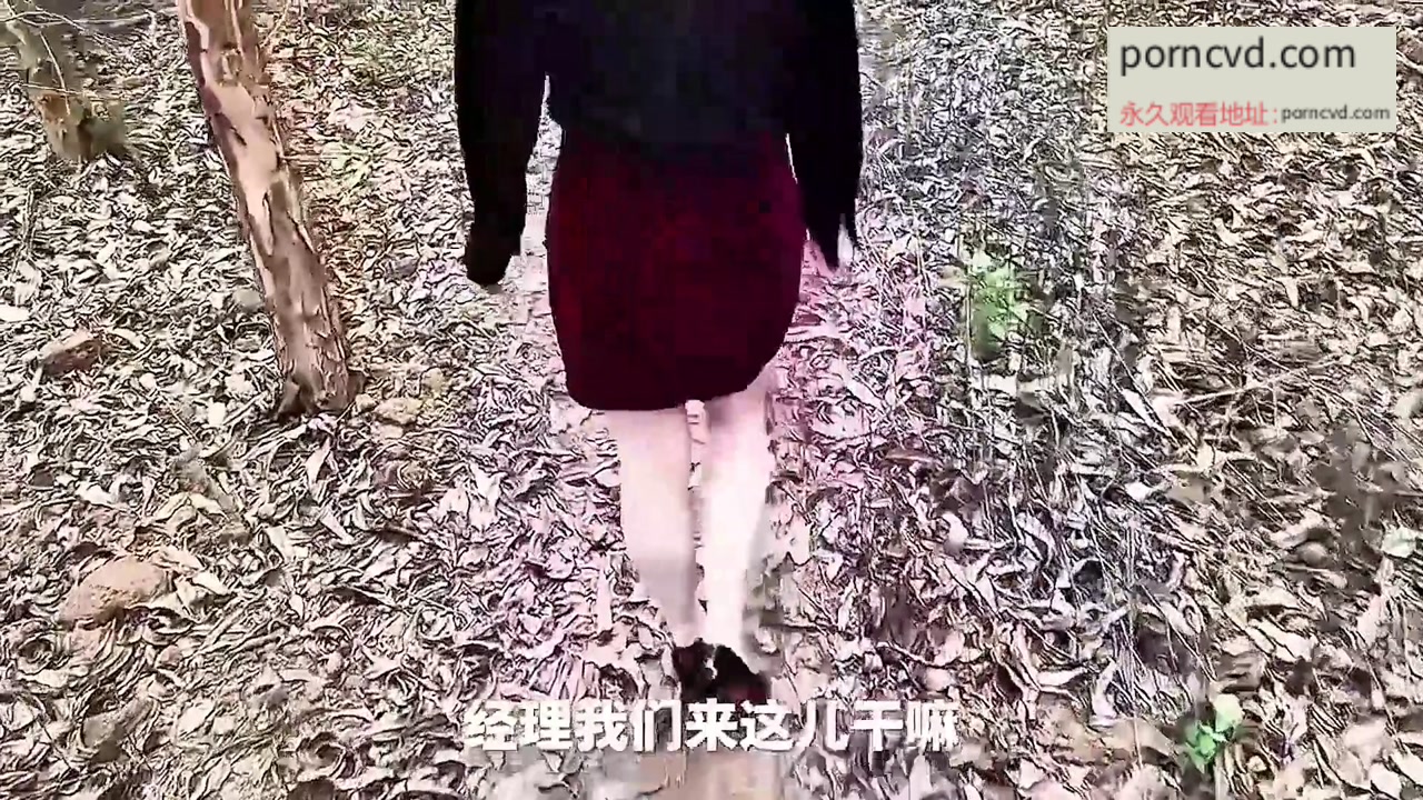 自拍外流：野外車震女上司影片