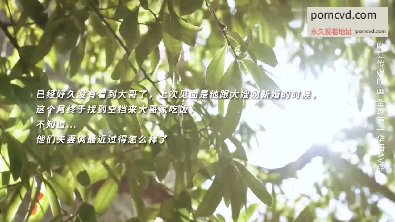 麻豆AV外流：大哥家偷操大嫂影片