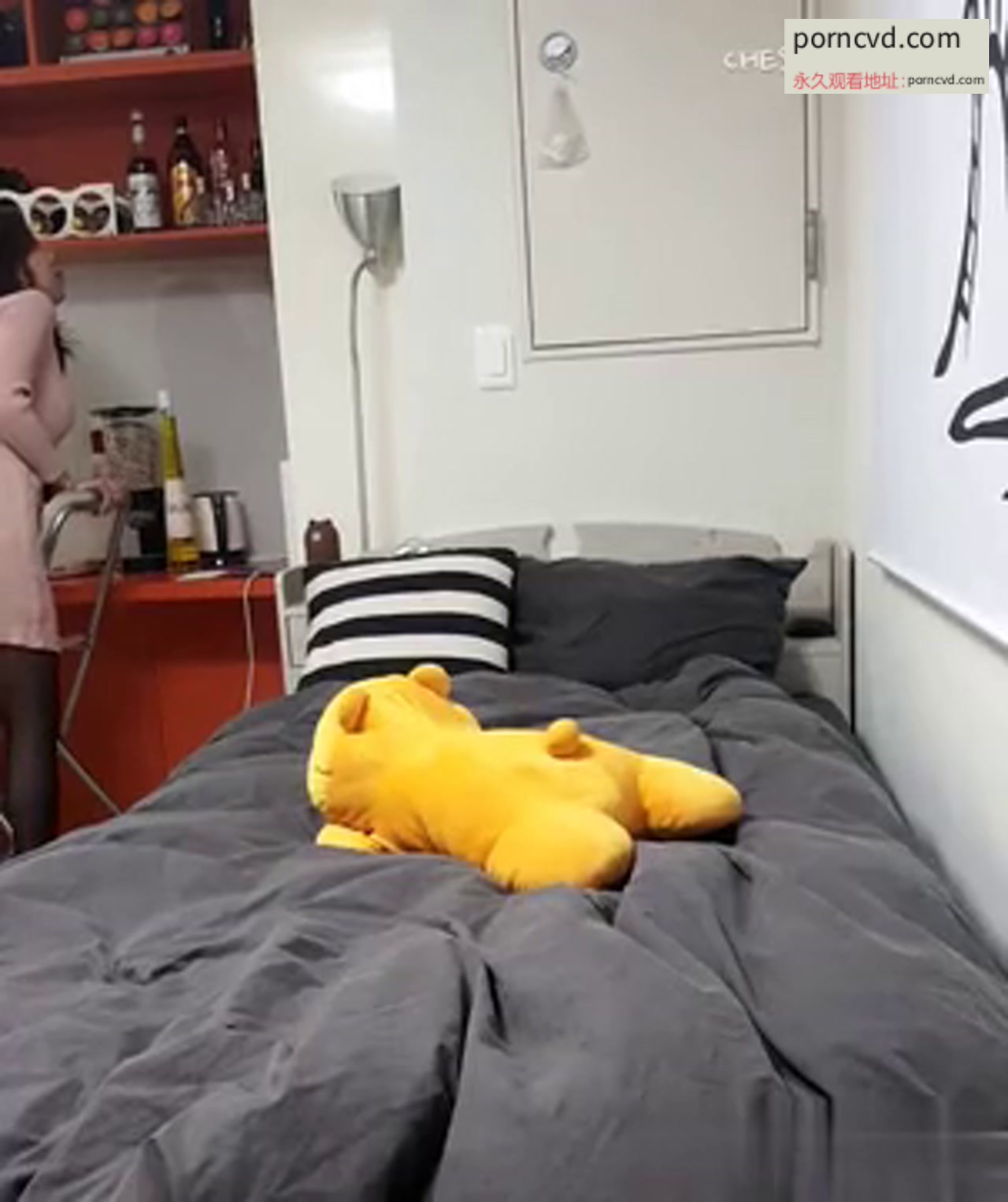 韓國女教授私拍達人自拍影片合集