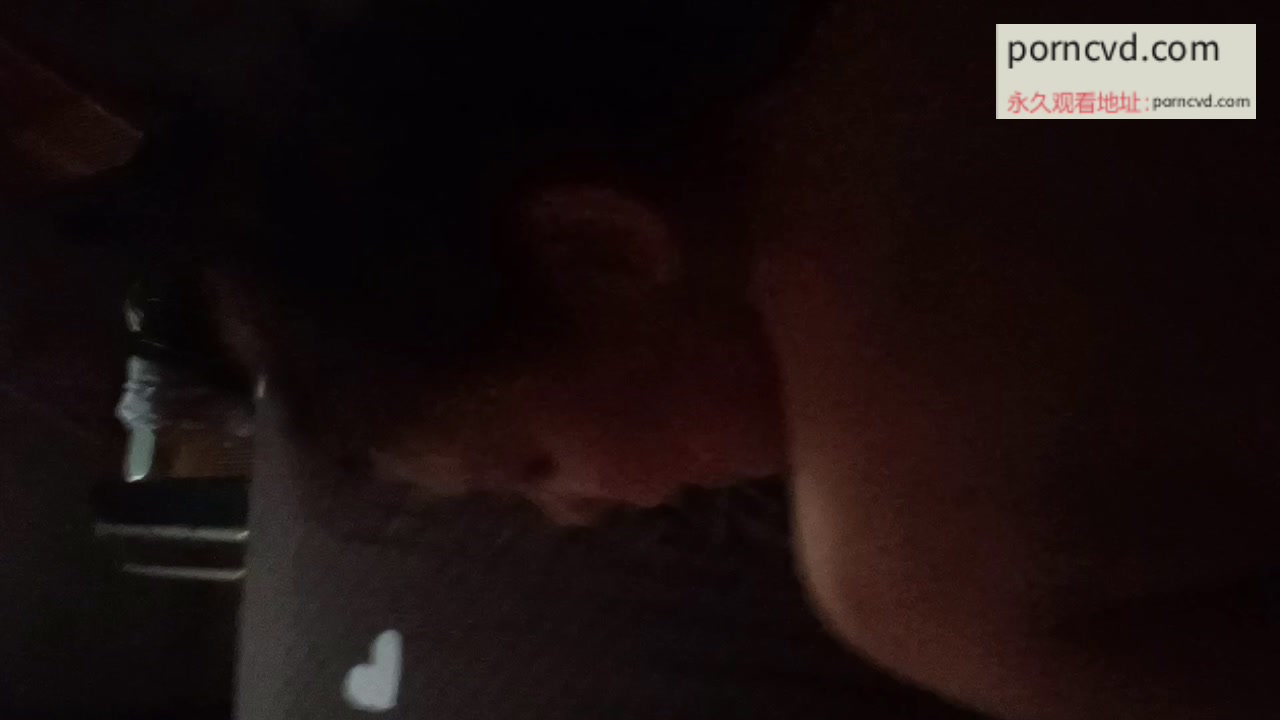我的车模小母狗