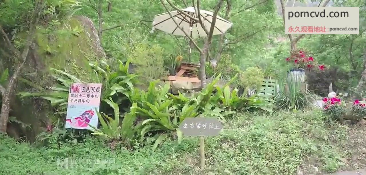 國產av MM-076 櫻花 花瓣底下盡情性愛 還可以內射