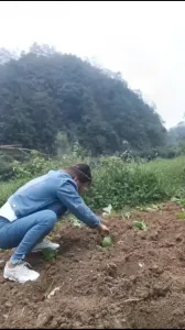 反差少婦私拍後入影片合集