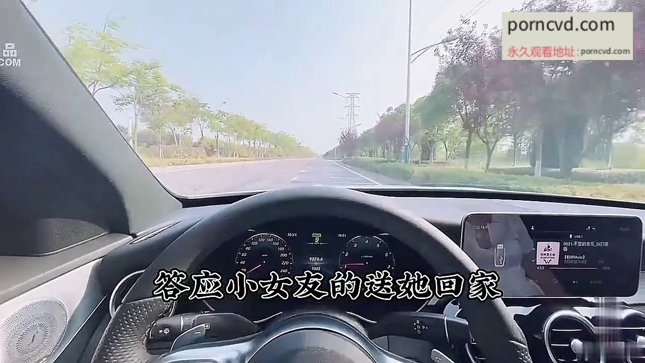 糖心出品 淫娃女寵 91土豪副駕上的專屬性玩物 兔兔 香車美女戶外車震，一路開車騷的不行，停車開砲爽得嗷嗷叫