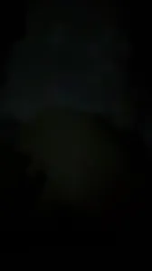 重慶小狗 私拍外流影片合集