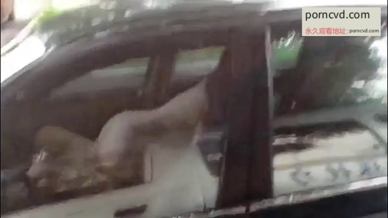 台灣本土真實車震 屁股真大