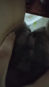 母狗發情