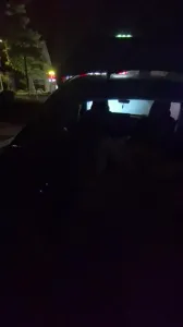 （杭州可）街邊後備箱調教女大在車上自慰 車來車往