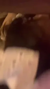 女僕的魅力誰能懂
