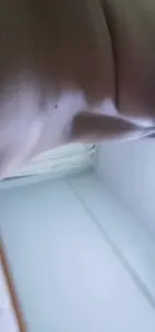 外蒙古熟女翻譯