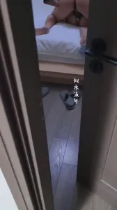 綠主一大早就幫忙照顧老婆