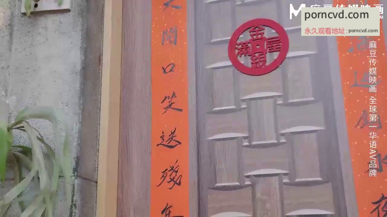國產av影片 麻豆av傳媒 MD-0343 旗袍下的交換秘密異國肉體激情盛宴