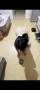 訓練985碩士母狗爬行喝聖水
