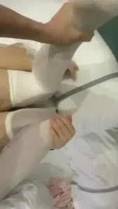 白絲小狗