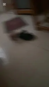 自拍，廣西大學室友還是太猛了，4P坐檯妹哇哇叫