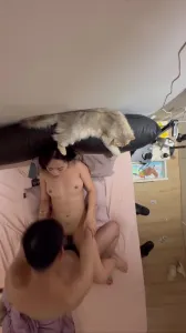 綠帽視角，高潮迭起