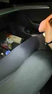 真實 車呢 湖邊