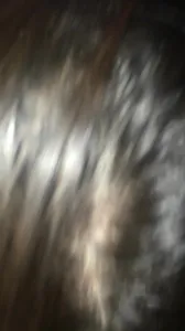 湖北襄陽大雞巴操人妻