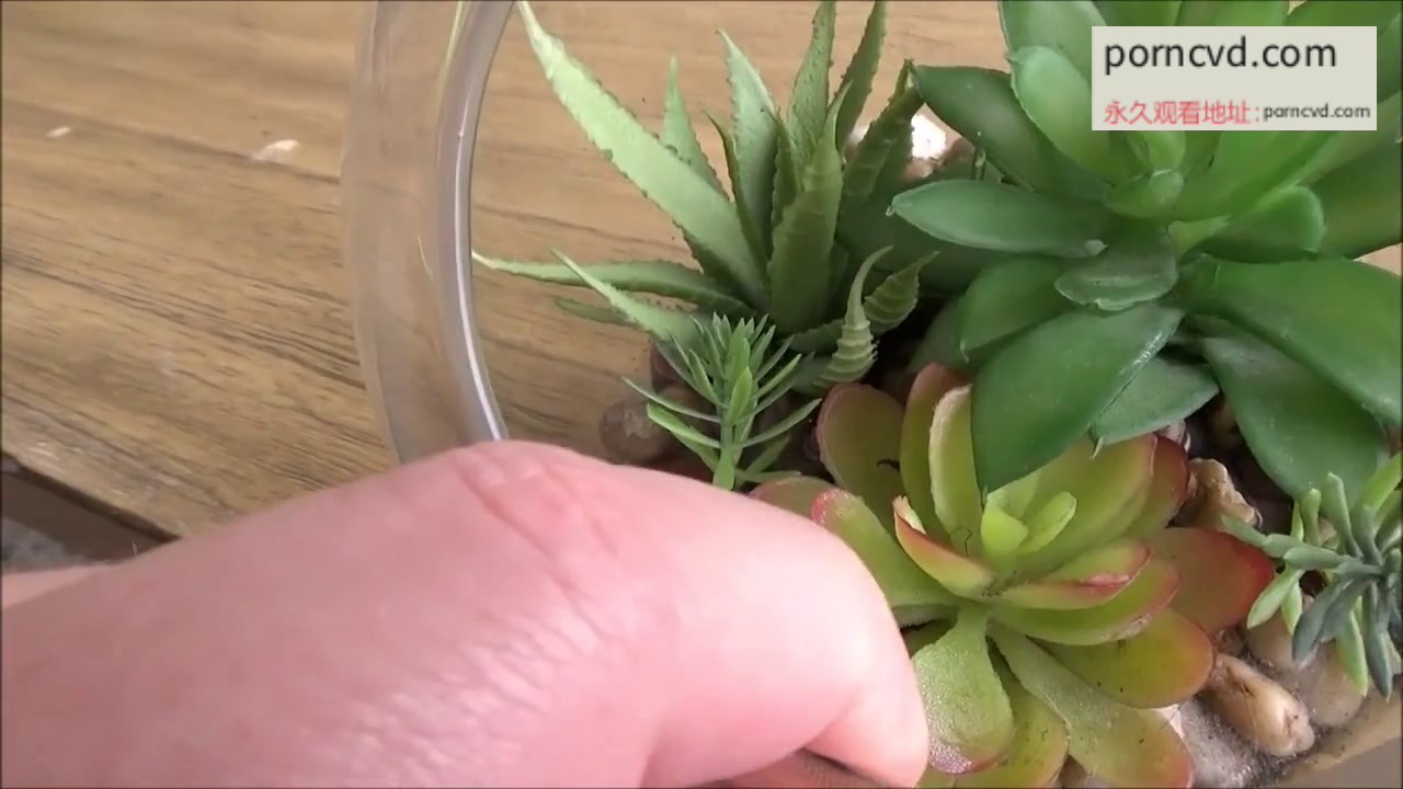 忍不住跟亞裔繼妹做愛