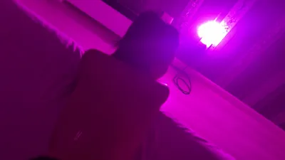 回國約操大連連褲襪騷1