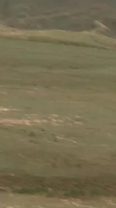 烏魯木齊南山半路上突然有車來了