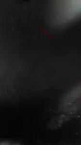 無套插黃毛眼鏡妹 最後射她一屁股
