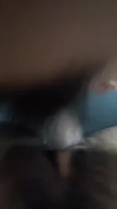 插騷逼人妻