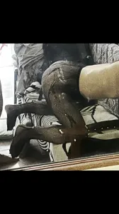 喜歡吃精液的長春博士母狗