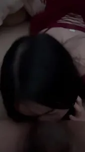 全自動的榨汁雞 4