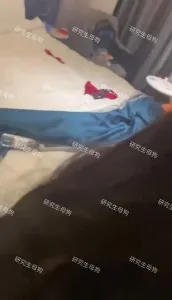 戴著狗鏈的母狗苗苗