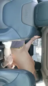 偷情車震巨乳淫語