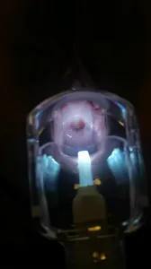 當婦科醫生