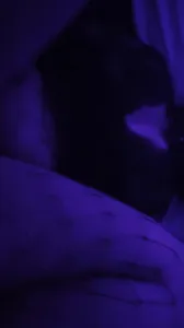 艹大母豬  0317