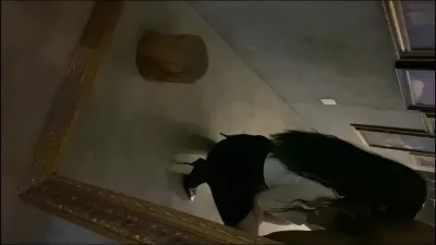 [原創] 在畫室裡把炮友幹了