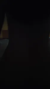 音院母狗