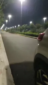 晚上在馬路邊玩少婦