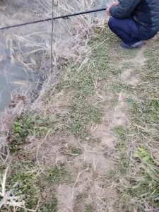 真實對白，誘惑湖邊七旬大爺，直接野外開幹
