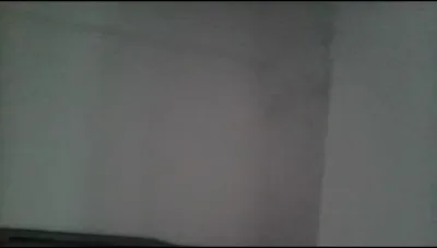 孕婦雙飛