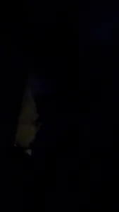 騷貨泰妹嗷嗷幹我