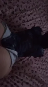 後入巨臀