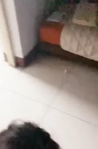 人妻在老公面前偷情