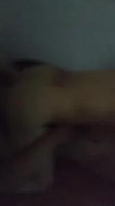 保定爆操綠帽妻