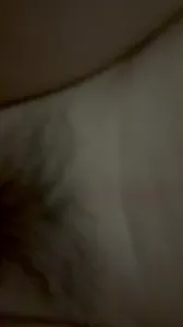 粵A的激情一刻