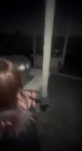 惠州野戰